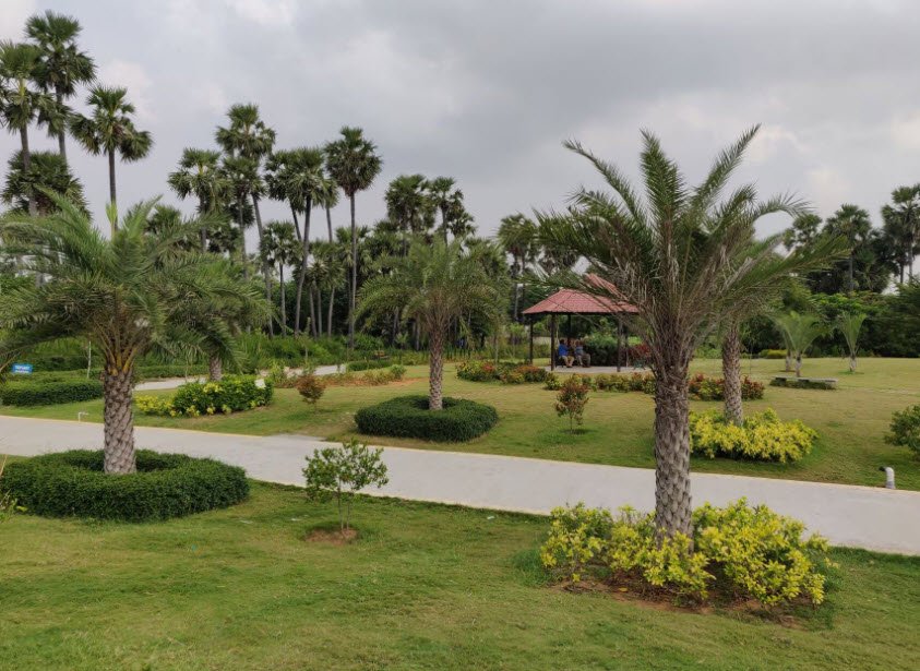 Madhavaram Botanical Garden, Chennai, Chennai, Tamil Nadu - Vushii.com Madhavaram Botanical Garden, Chennai, Chennai, Tamil Nadu - Vushii.com